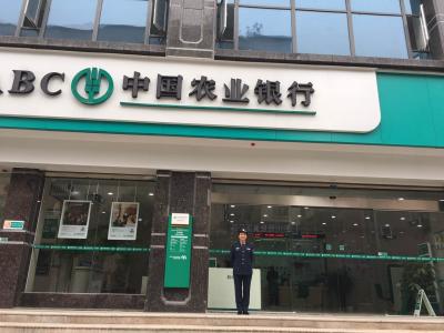案例展示